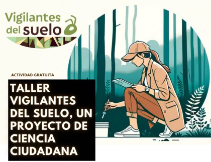 Vigilantes del suelo